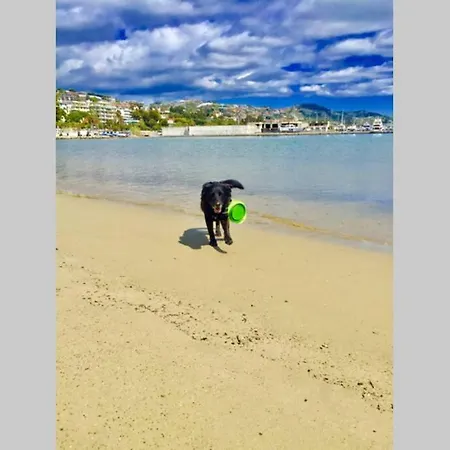 Mare E Relax Pista Ciclabile Sanremo Lägenhet